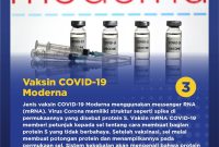 Efek Vaksinasi COVID-19 Yang Perlu Diketahui - Mamak Pintar Apa Saja Jenis Vaksin Yang Perlu Diberikan